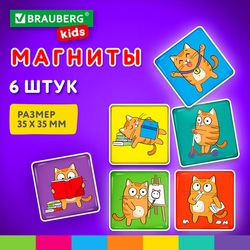 Магниты квадратные стеклянные 35 мм для досок магнитно-маркерных, НАБОР 6 шт., ''Кот-энтузиаст'' BRAUB